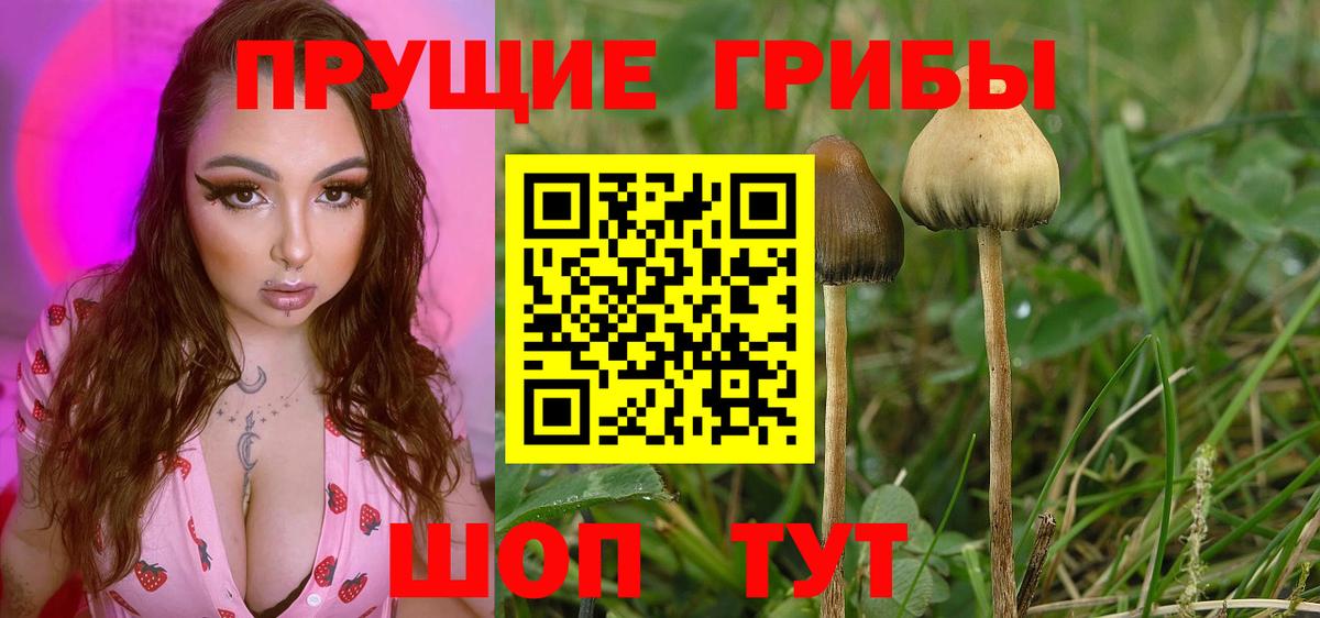 Псилоцибиновые грибы Magic Shrooms Златоуст