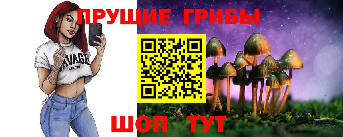 Галлюциногенные грибы MAGIC MUSHROOMS  Вход с VPN  Златоуст  Галлюциногенные грибы MAGIC MUSHROOMS 